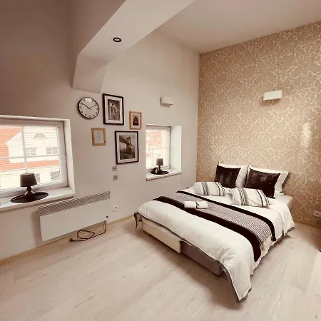 City - Lm Group * Estetino